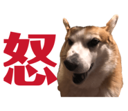 864547600