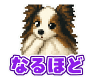 864548306
