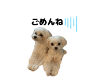 864548382