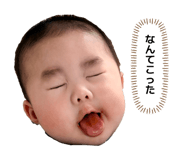 864548412