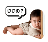 864548431