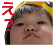 864548508