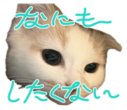 864548710