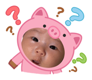 864550206