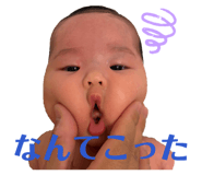 864550214