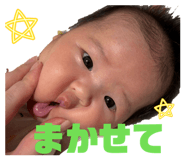 864550224