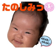 864550225