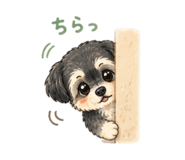 864554799