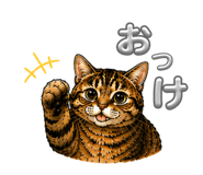 864559971