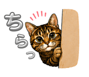 864559975
