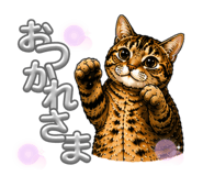 864559976
