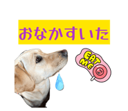 864560566