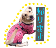 864560567