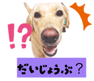 864560573