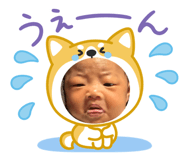 864562417