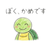 864567096