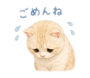 864578490