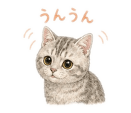 864580136