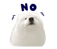 864587558