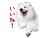 864587562