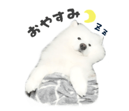 864587566