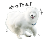 864587568