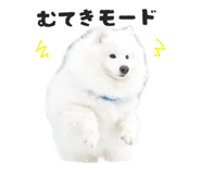 864587575