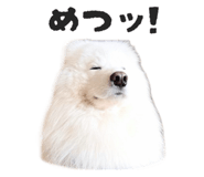 864587578