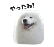 864587580