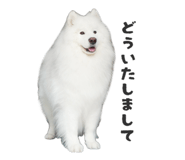 864587583