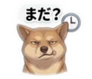 864587707