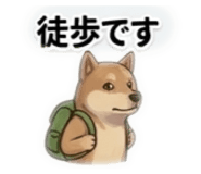 864587713