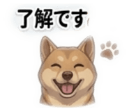 864587734