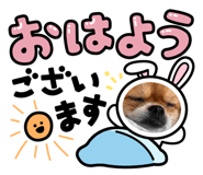 864594964