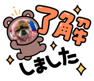 864594965
