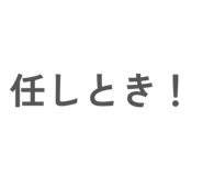864595006