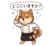 864595043