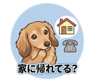 864595146