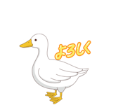 864596052
