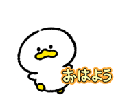 864596054