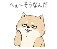 864596091