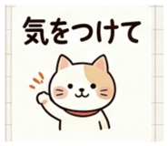 864597138