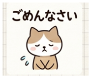 864597156
