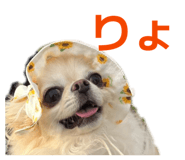 864597329