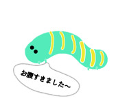 864597552