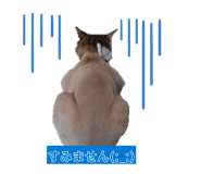 864597629