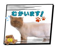 864597630