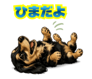 864603281