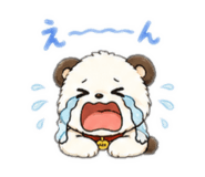 864603997