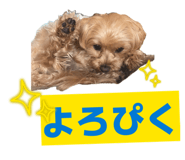 864612155